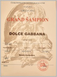 Grand Šampion
